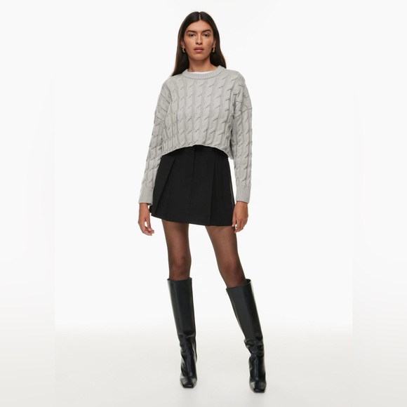 Aritzia Pleated Mini Skirt - Picture 2 of 5